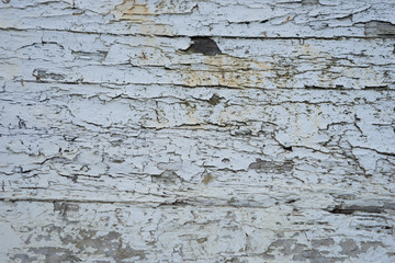 Fototapeta premium Alte farbig lackierte Holz-Schiffsplanken - Textur 