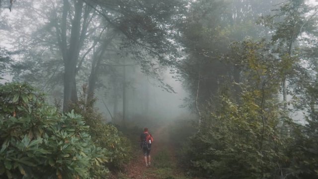 Traveler Girl is walking in to the mist - Mtirala natinal park