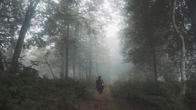 Traveler Girl is walking in to the mist - Mtirala natinal park