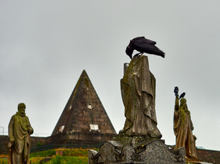 Crow looking for food at the top of a statue on a gloomy day, Stirling cemetery, Scotland