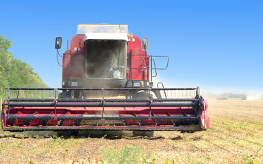 red combine harvester soybean harvest against the blue sky. The farm operates in the field in the...