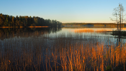 sunset at saimaa lake in finland - obrazy, fototapety, plakaty