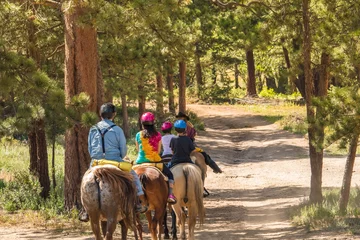 Foto op Plexiglas Family of four taking a horseback riding lesson in the woods in the Rocky Mountains, Colorado, in the summer © Lana