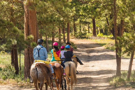 Family of four taking a horseback riding lesson in the woods in the Rocky Mountains, Colorado, in the summer
