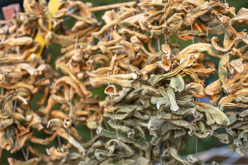 Front shoot of dried string beans hanged on rope at sunset time in Turkey