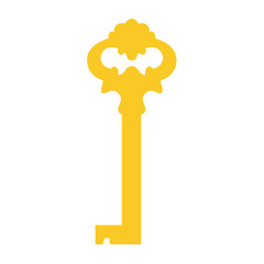Golden key vector