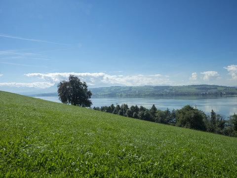 Randonn&eacute;e autour du lac de Sempach (Sempachersee) dans le canton de Lucerne en Suisse en suivant le sentier de Rome (R&ouml;merweg)