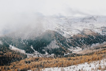 winter in the mountains