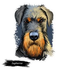 Jagdterrier, Hunting terrier, German Jagdterrier dog digital art illustration isolated on white background. Germany origin hunting dog. Pet hand drawn portrait. Graphic clip art design for web print