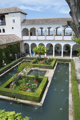 Palacio de Generalife, Jardín de la Sultana, Alhambra, Granada, Andalusien, Spanien