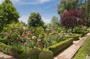 Fototapeta premium Generalife, ogrody, Granada, Andaluzja, Hiszpania