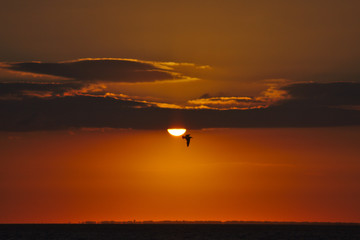 Fototapeta na wymiar Sonnenuntergang an der Nordsee