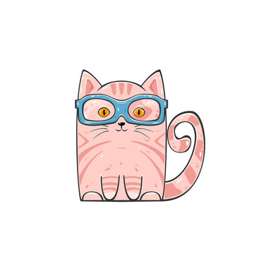 Cute pink cat