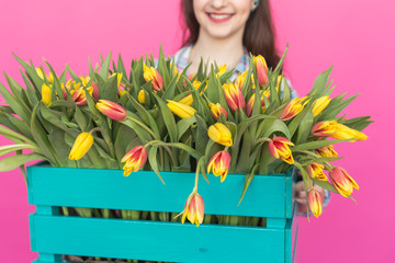 Close up of bright wooden box with yellow tulips in pink studio.