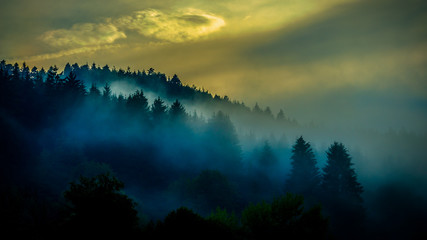 Nebel über dem Schwarzwald - obrazy, fototapety, plakaty