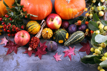 Autumn nature concept. Fall fruit and vegetables on wood. Thanksgiving dinner. Plums and pumpkin...