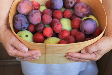 hands holding a basket full of fruits