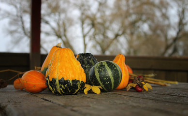 Autumn harvest/ settings table/thanksgiving day background