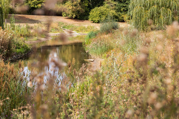 Versteckter kleiner Seeim hohem Gras