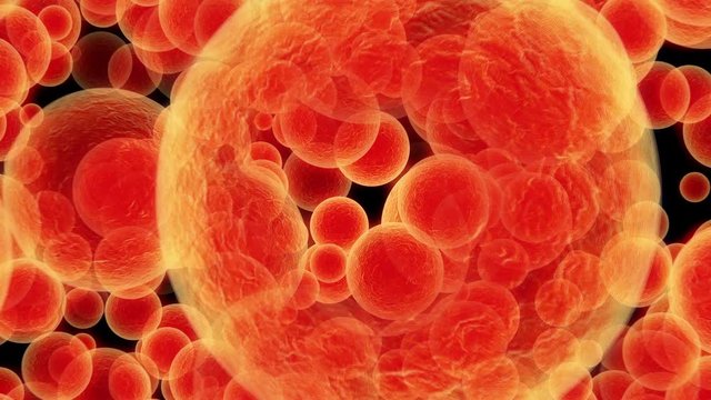 Cellular Organic Graphic Abstract Microscopic Background