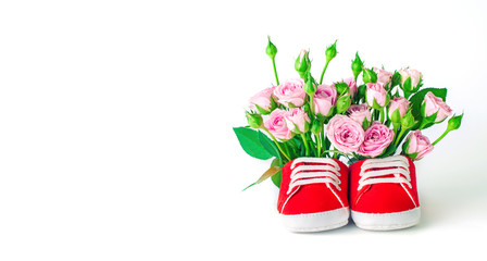 Baby shoes filled with roses flowers over white background