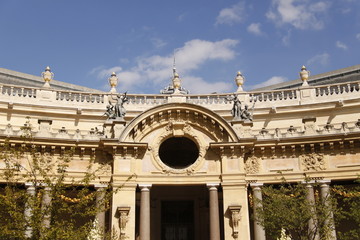 Obraz premium Petit Palais à Paris