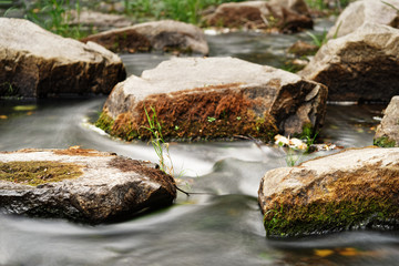 Detail view of flowing water of a small river, the water flowing past rocks covered with moss and...