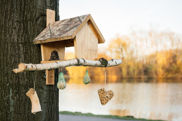 Domek dla ptaków na drzewie w parku. W tle staw. Jesień © Michał Magiera