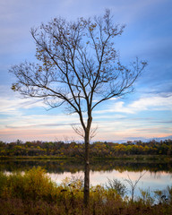 Sunset With A Lone Tree Near A River With Rocks And Reflections And Wispy Clouds And Fall Colours