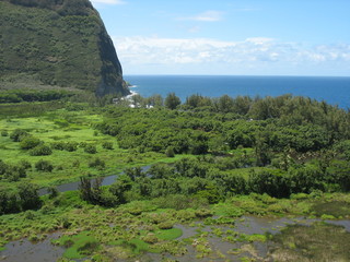 Valley In Hawaii