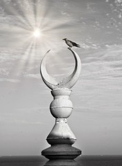 Half-moon with bird and spark - the celestial arab symbol