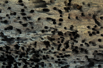 Old wooden background in Phuket Thailand