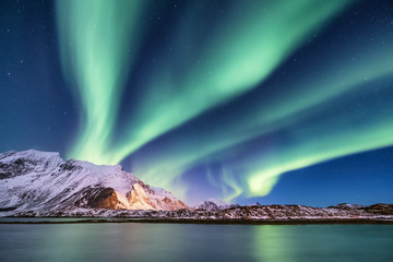 Aurora borealis on the Lofoten islands, Norway. Green northern lights above mountains. Night sky with polar lights. Night winter landscape with aurora and reflection on the water surface. 