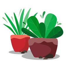 Stylized flowers in flowerpots, fantasy plants in flat style with stones on white background