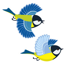 Flying great tit isolated on white background © Elokua