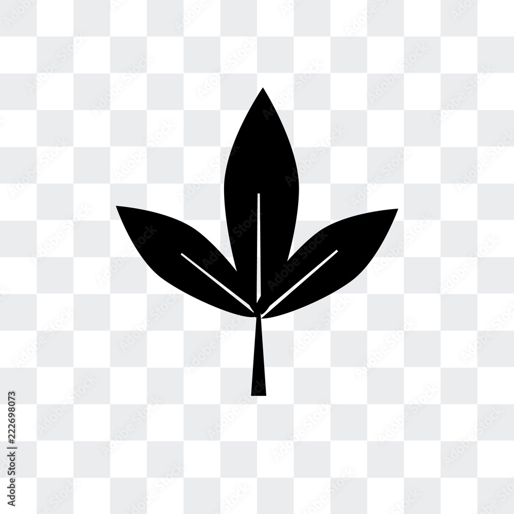 Poster leaf icon isolated on transparent background. modern and editable leaf icon. simple icons vector ill