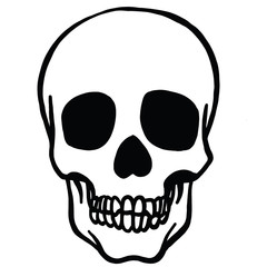 hand drawn vector illustration of a skull with pine in black and white from the front