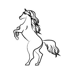 Obraz na płótnie Canvas Outline draw horse
