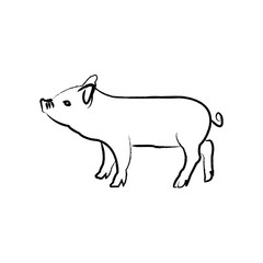 Outline draw pig