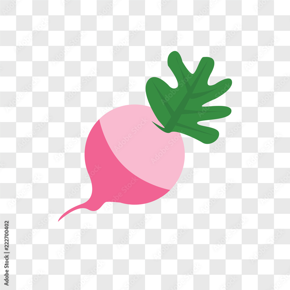 Poster radish icons isolated on transparent background. modern and editable radish icon. simple icon vector