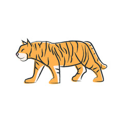 Obraz premium Outline draw tiger