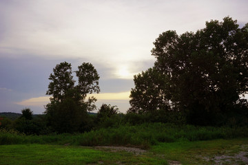 country park during a beautiful evening