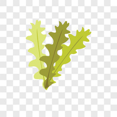 seaweed icons isolated on transparent background. Modern and editable seaweed icon. Simple icon vector illustration. © t-vector-icons