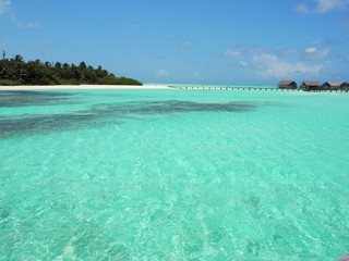 Fototapeta premium the resort in Maldives