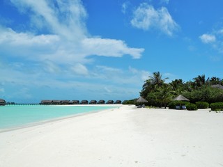 the beach in Maldives