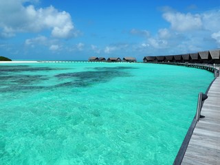 Fototapeta na wymiar the resort in Maldives