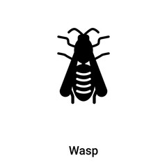 Wasp icon vector isolated on white background, logo concept of Wasp sign on transparent background, black filled symbol