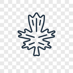 leaf icons isolated on transparent background. Modern and editable leaf icon. Simple icon vector illustration.