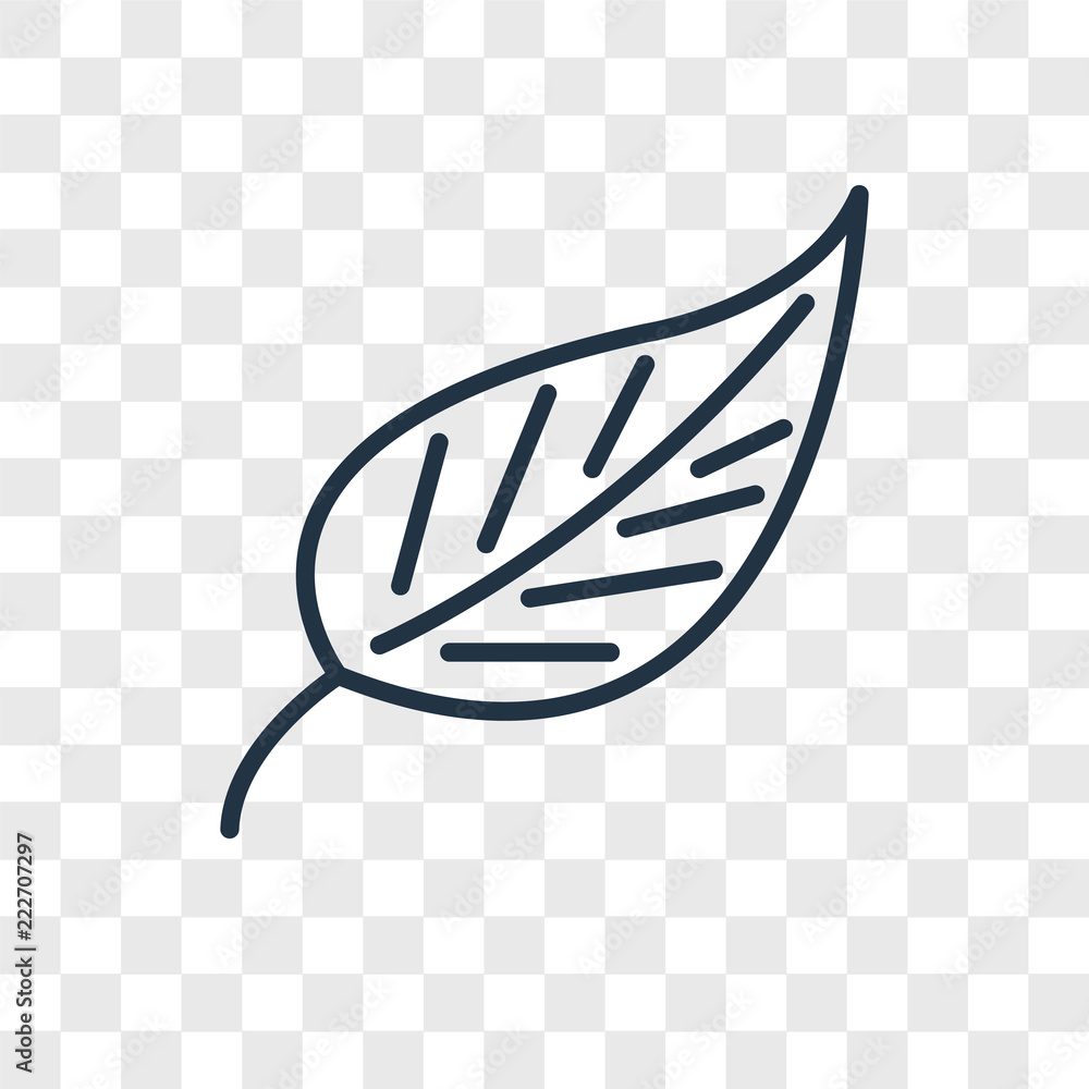 Poster leaf icons isolated on transparent background. modern and editable leaf icon. simple icon vector ill