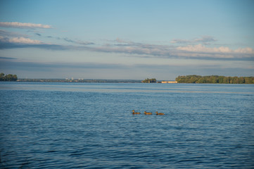 Morning by the River
